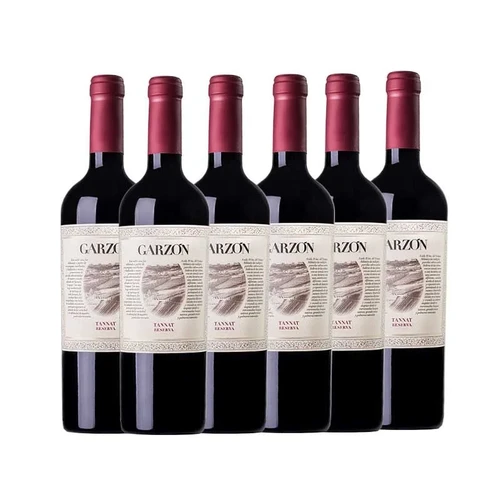 Box Garzon Reserva Tannat 750ml
