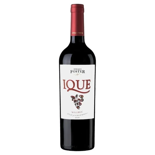 Enrique Foster Ique Malbec 2021 Vinho Argentino