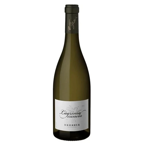 Bressia Lagrima Canela Branco Vinho Argentino