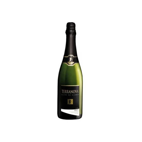 Espumante Nacional Terra Nova Brut Brasileiro
