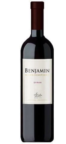 Benjamin Nieto Syrah Vinho Argentino
