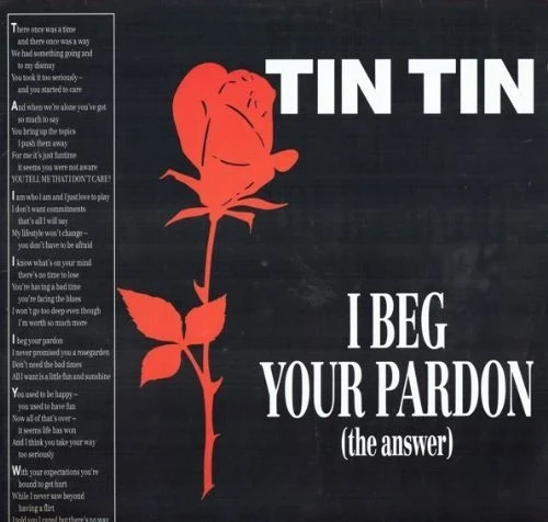 Tin Tin - I Beg Your Pardon - Kon Kan Cover