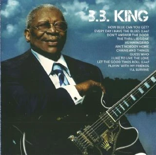 CD BB King - Icon