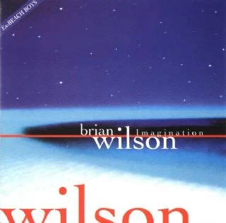 CD Brian Wilson - Imagination